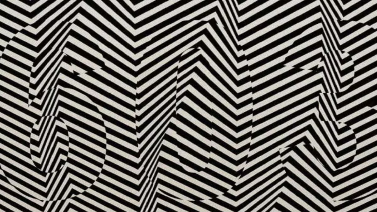 Hádanka, ktorá trénuje váš zrak: nájdite skryté číslo len za 15 sekúnd