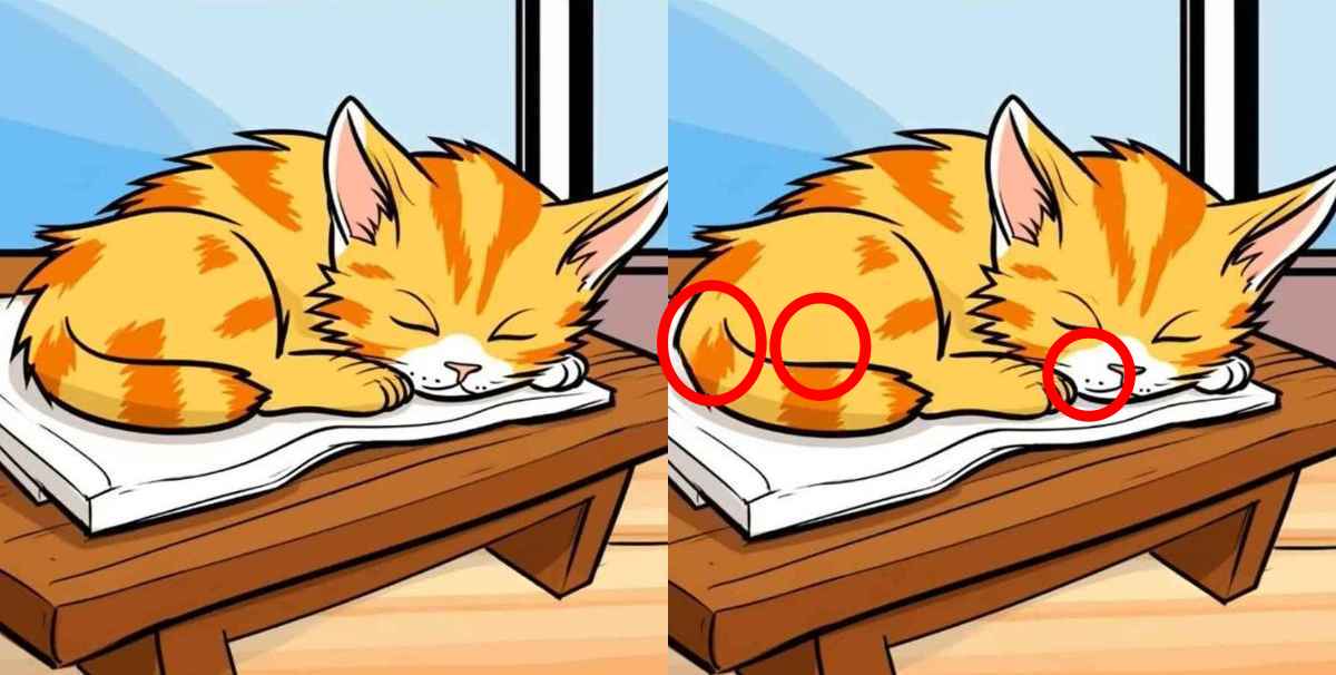 Hádanka - Obrázok mačky 2 s riešením