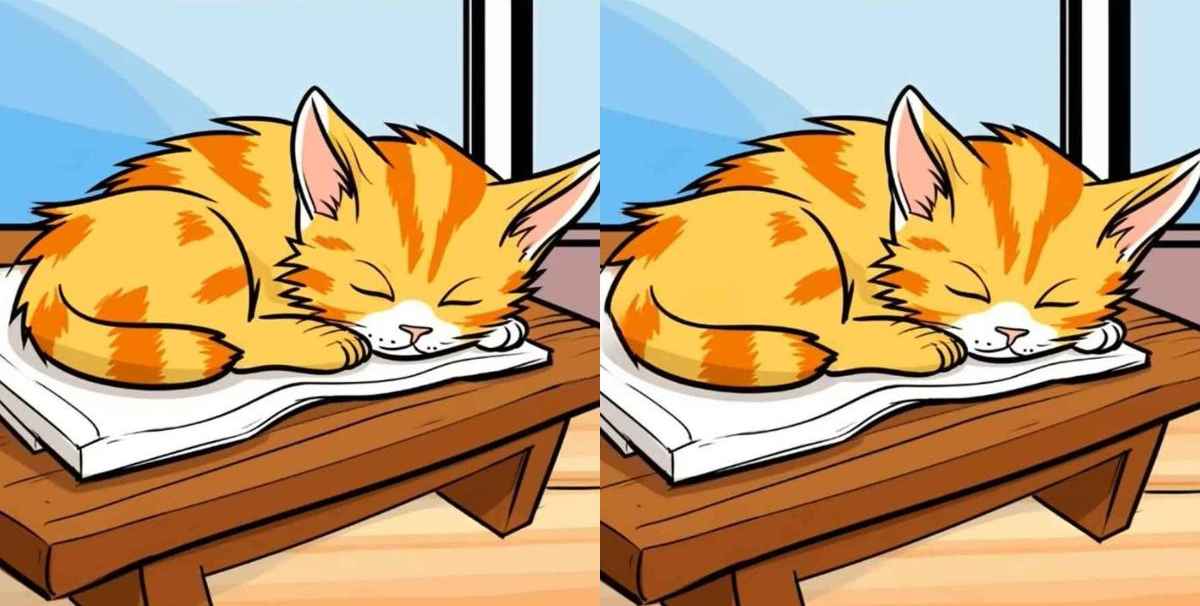 Hádanka - Obrázok mačky 1