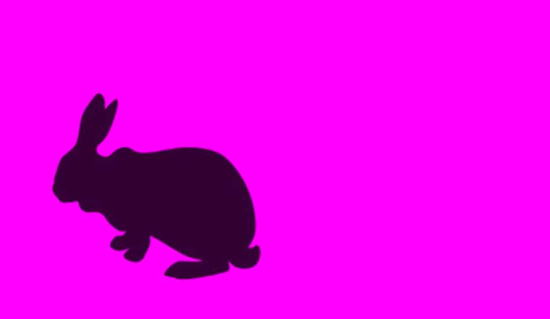 Obrázok so zvýrazneným obrysom králika