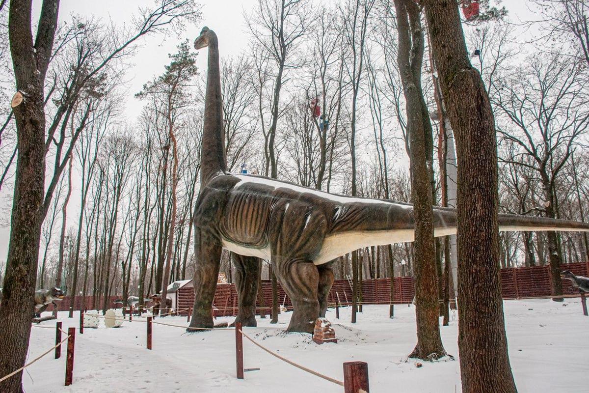 Nájdi psa v snehu za 10 sekúnd / koláž Moje