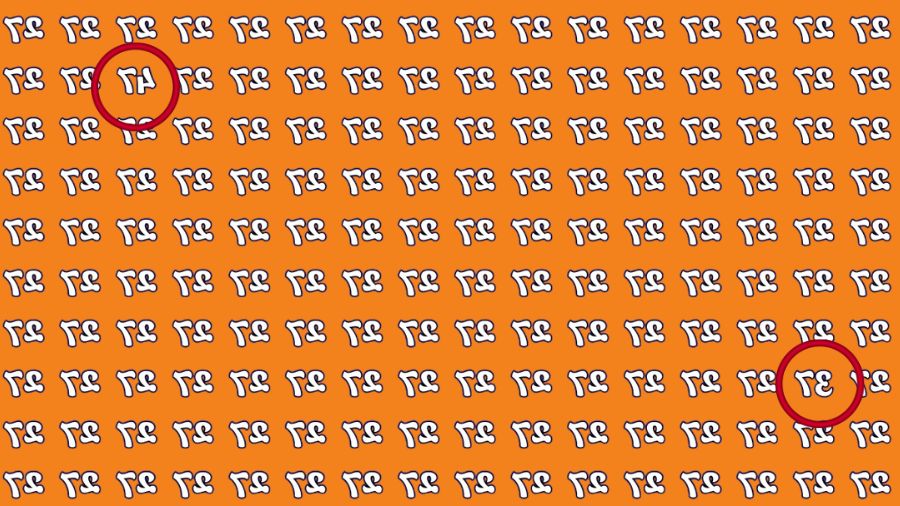 Náročný IQ test: Iba géniovia nájdu prevrátené čísla 47 a 37 za 13 sekúnd Ťažký IQ test: len géniovia dokážu nájsť prevrátené čísla 47 a 37 za 13 sekúnd