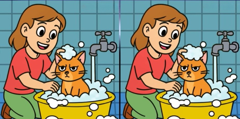 Hádanka: Nájdite 3 rozdiely