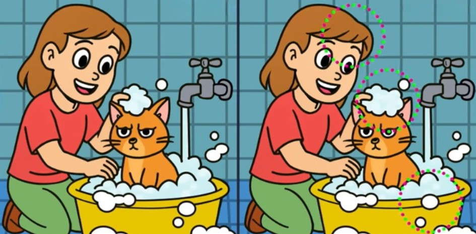 Riešenie hádanky s vyznačenými rozdielmi