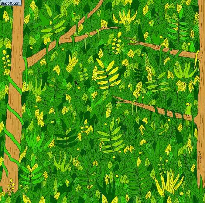 Vidíte na obrázku hada? Vidíte na obrázku hada