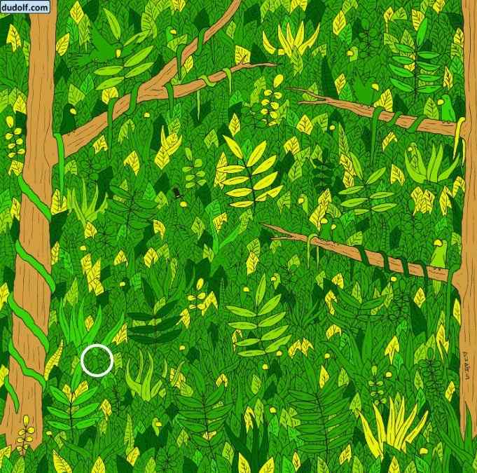 Správna odpoveď na hádanku Správna odpoveď na hádanku