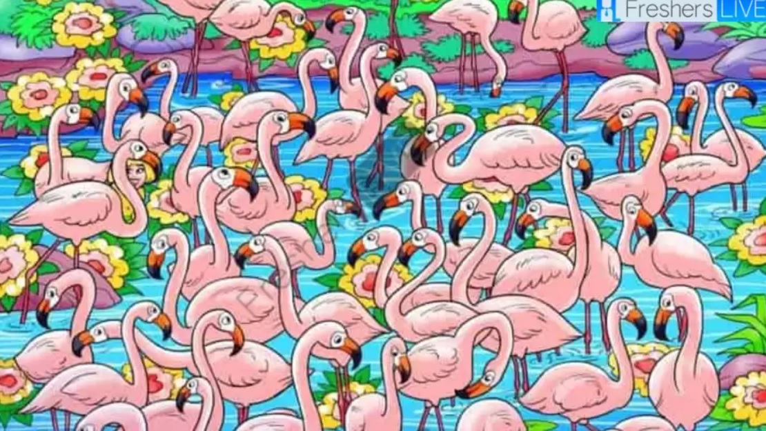 Nájdite dievča medzi plameniakmi za 8 sekúnd: z tejto hádanky sa vám ztočí hlava Nájdite dievča medzi plameniakmi za 8 sekúnd: táto hádanka vám zamotá hlavu