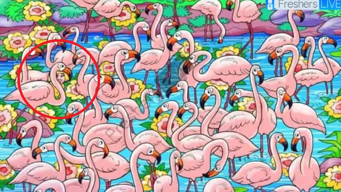 Nájdite dievča medzi plameniakmi za 8 sekúnd: z tejto hádanky sa vám ztočí hlava Nájdite dievča medzi plameniakmi za 8 sekúnd: z tejto hádanky sa vám ztočí hlava