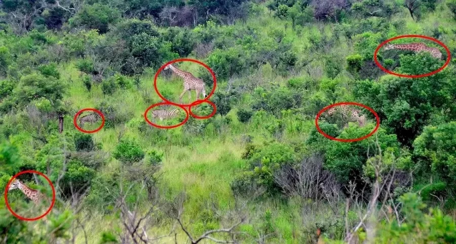 Optická ilúzia - riešenie