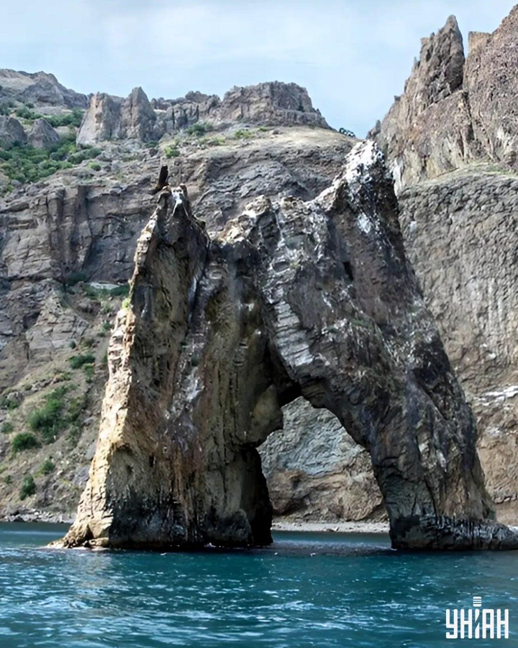 Nájsť orla na puzzle obrázku / koláži s fotografiou Moje trvá menej ako 10 sekúnd Nájsť orla na obrázku skladačky / koláže s fotografiou Moje trvá menej ako 10 sekúnd