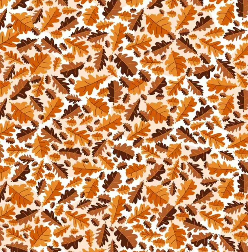 Hádanka - musíte nájsť žaluď za niekoľko sekúnd Hádanka - musíte nájsť žaluď v priebehu niekoľkých sekúnd