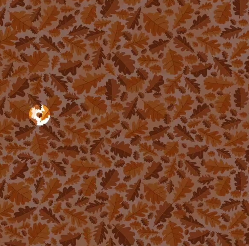 Riešenie hádanky Riešenie hádanky