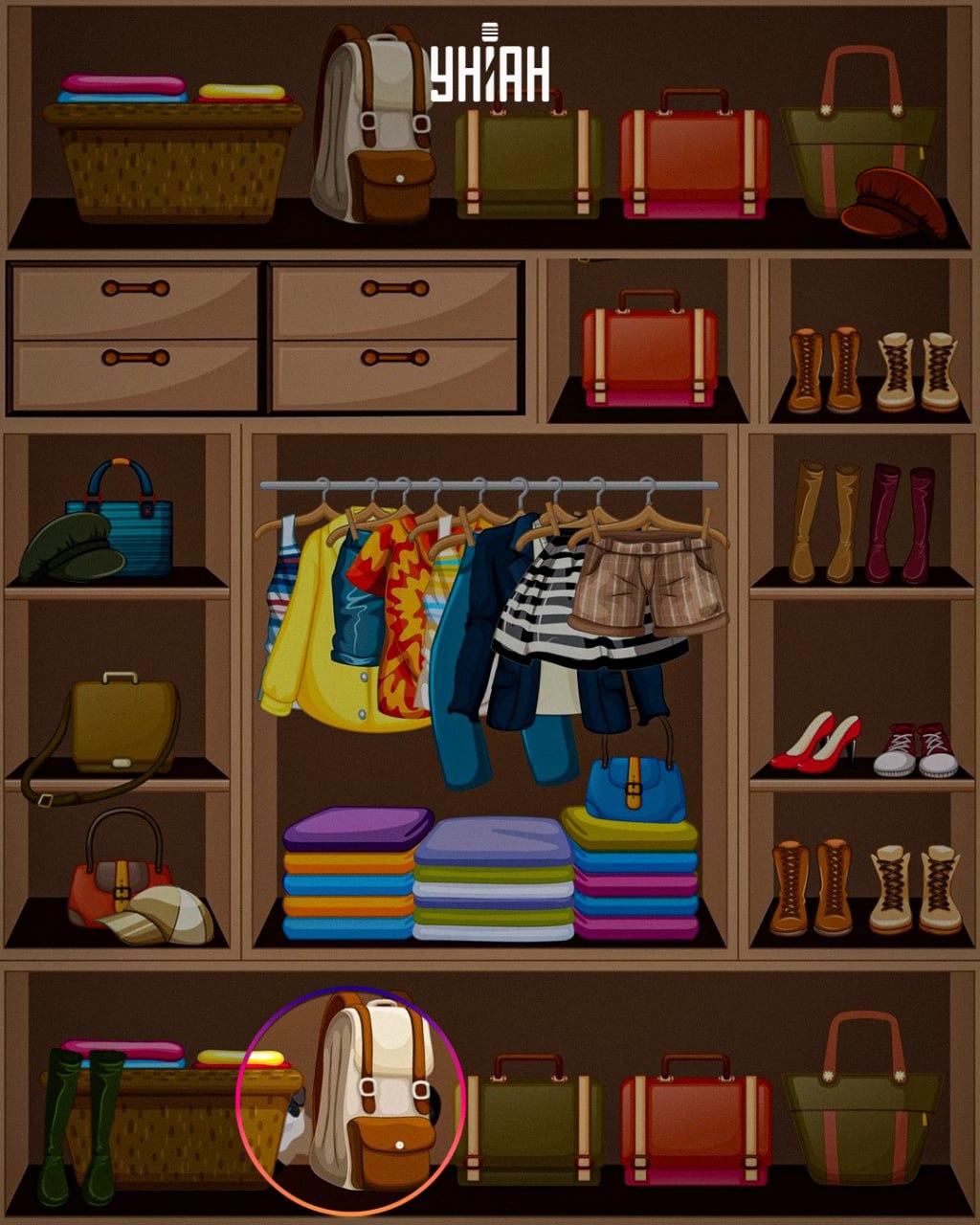 Chytré zviera bolo umiestnené v spodnej časti obrazu / koláž Moje