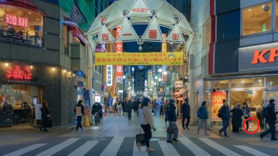 Optická ilúzia Optická ilúzia