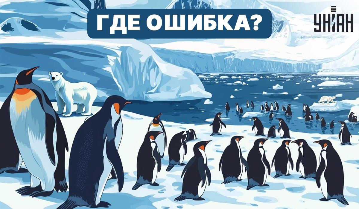 Dokážete pochopiť, čo je na obrázku zlé? / Moje Podarí sa vám zistiť, čo je na obrázku nesprávne? / Moje