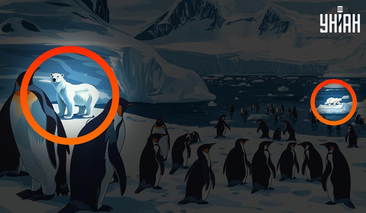 Odpoveď / Moje Odpoveď / Moje