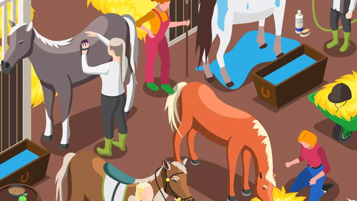 Puzzle, podkova Puzzle, Podkovy