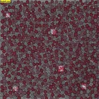 Správna odpoveď na hádanku Správna odpoveď na hádanku je