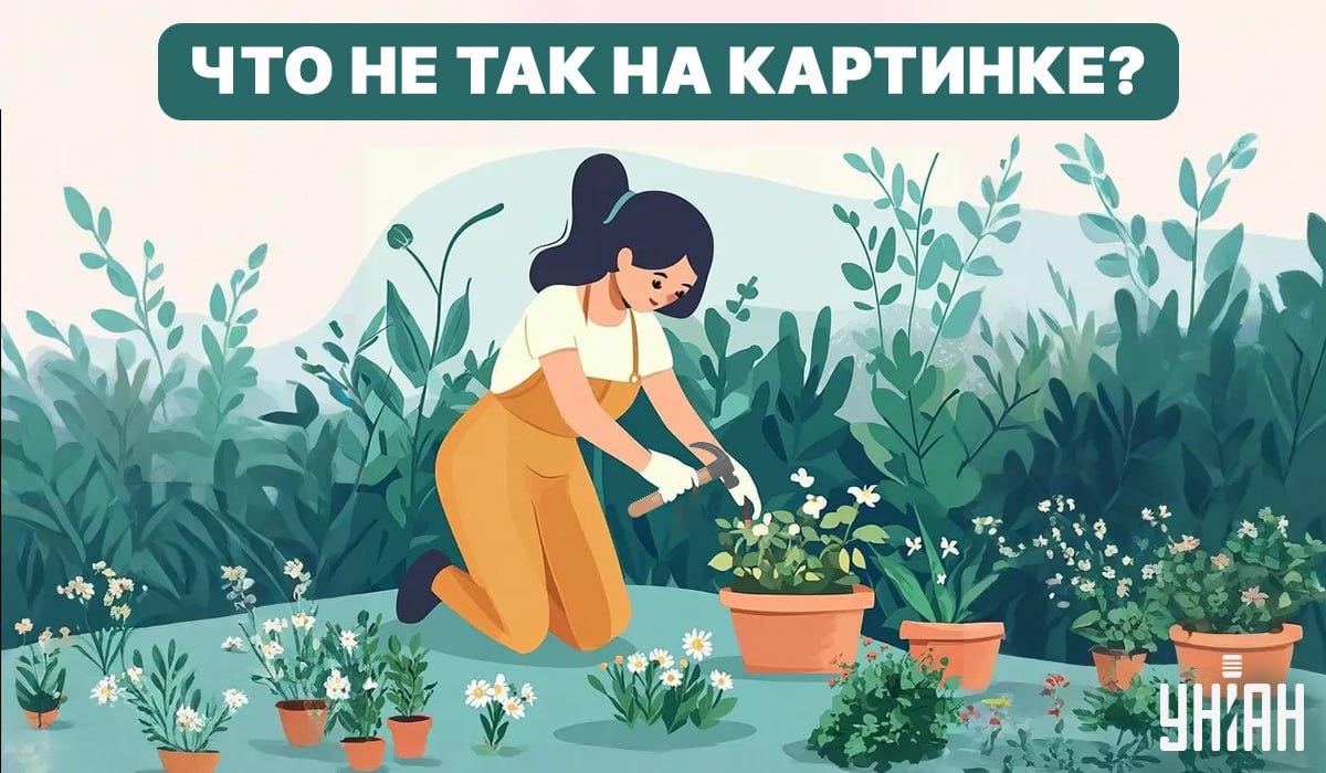 Skúste nájsť chybu / Koláž - Moje Pokúste sa nájsť chybu / Koláž - Moje