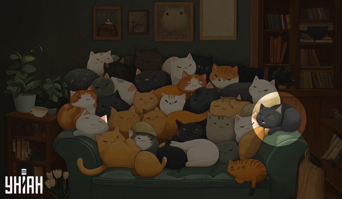 Koláž Moje Koláž Moje s riešením