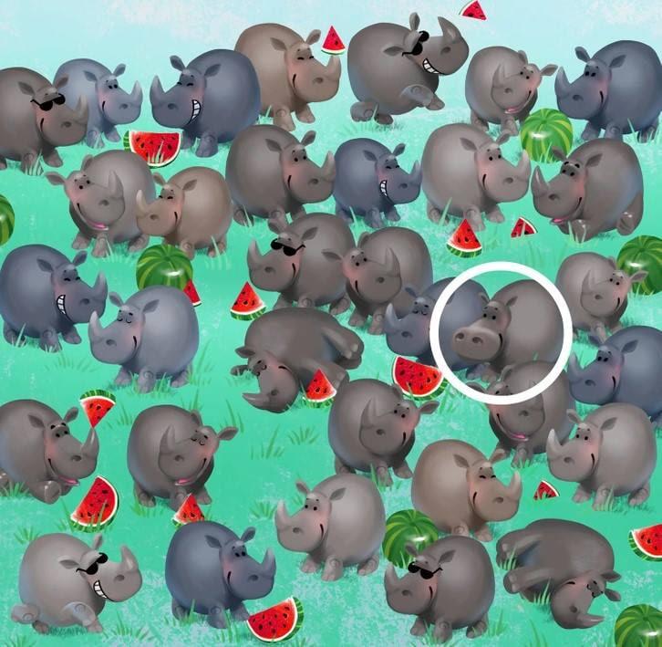 Odpoveď / Svetlá strana