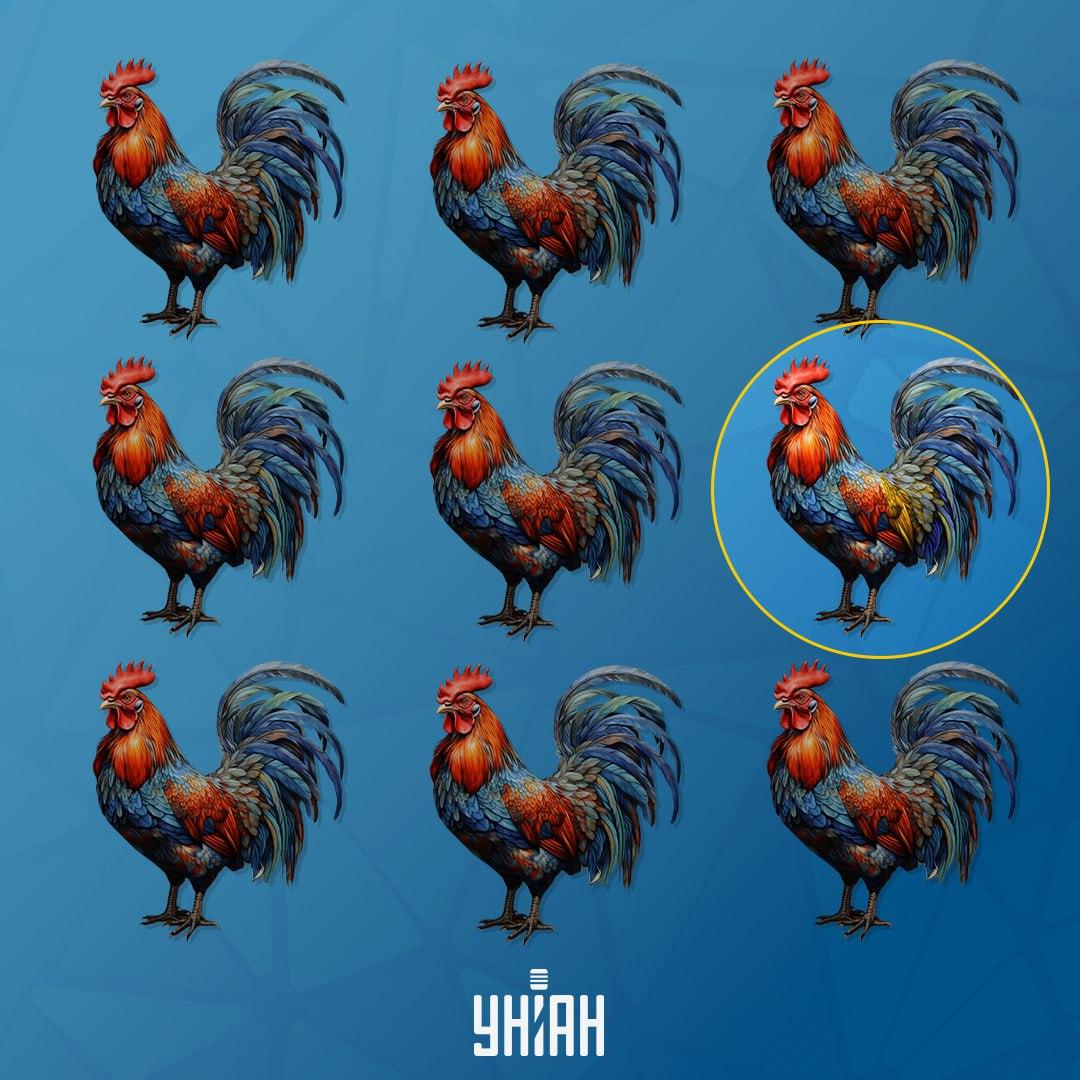 Kohút, ktorý je iný ako ostatní, bol na ľavej strane / koláž Moje Kohút, ktorý sa líši od ostatných, bol vľavo / koláž Moje