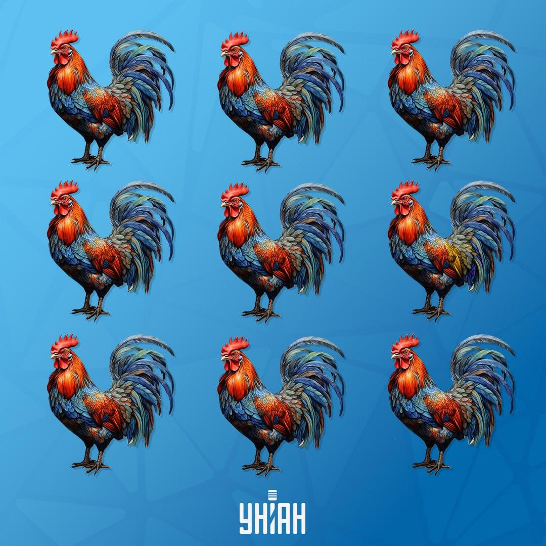 Snažte sa pri plnení úlohy nerobiť zjavné chyby / koláž Moje Snažte sa pri plnení úlohy nerobiť zjavné chyby / koláž Moje