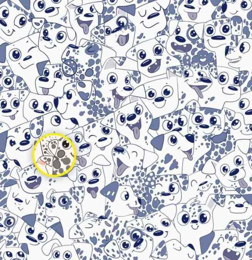 Motýľ bol na pravej strane / Brightside drawing