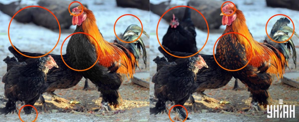 Bolo potrebné venovať pozornosť malým detailom / koláž Moje Bolo potrebné venovať pozornosť malým detailom / koláž Moje