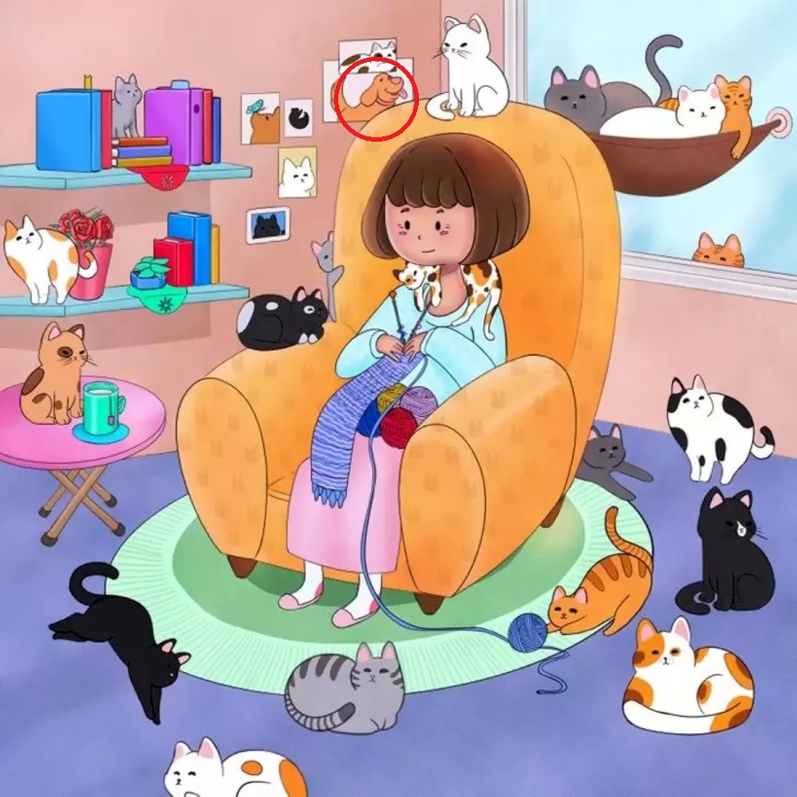 Riešenie - Nájdený pes Riešenie hádanky - Pes na obraze