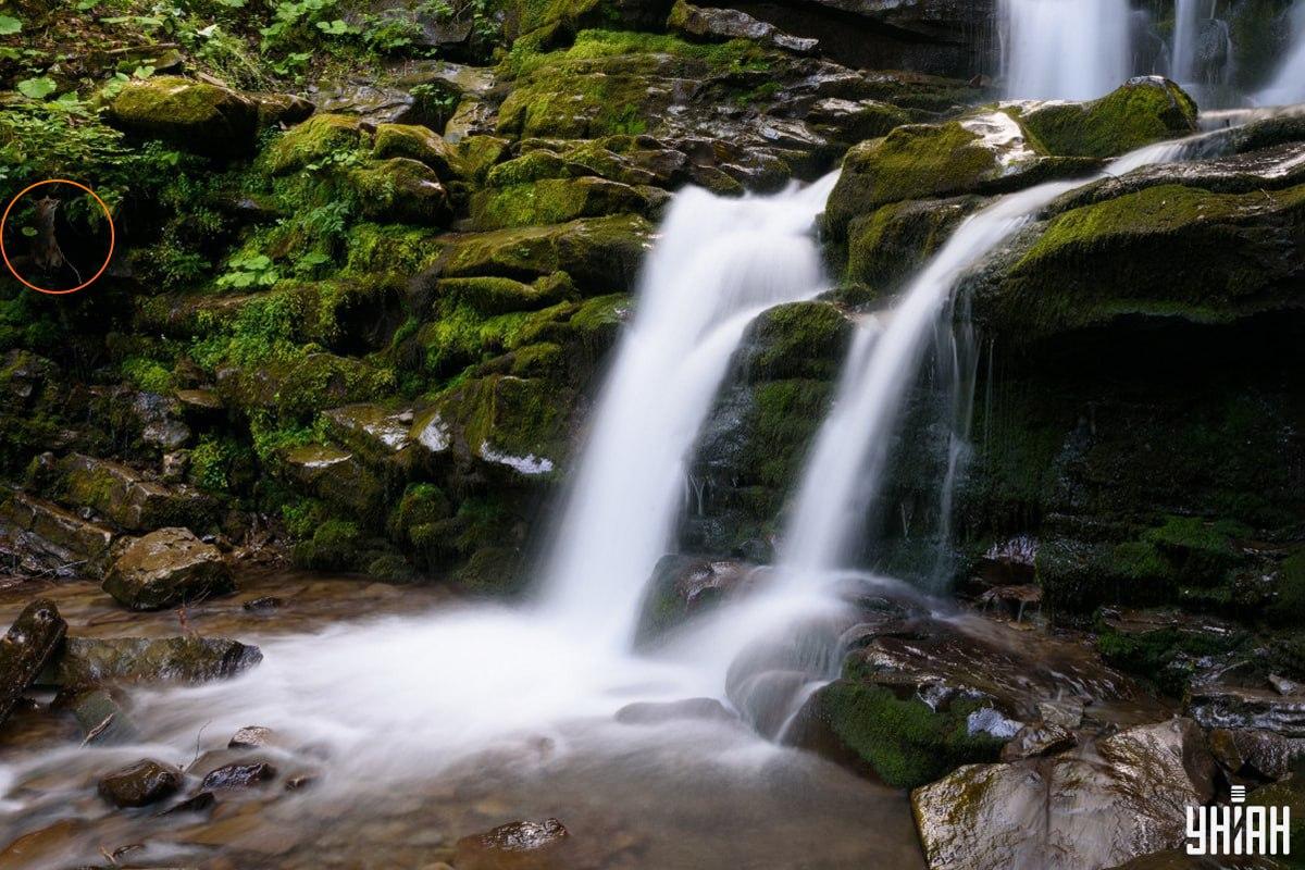 Odpoveď na hádanku s líškou - kde presne sa zviera skrývalo / koláž Moje, foto Moje