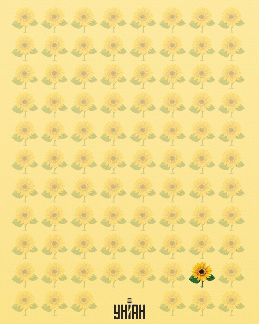 Slnečnica, ktorej chýbal jeden okvetný lístok, bola nazvaná čudná / Moje koláž