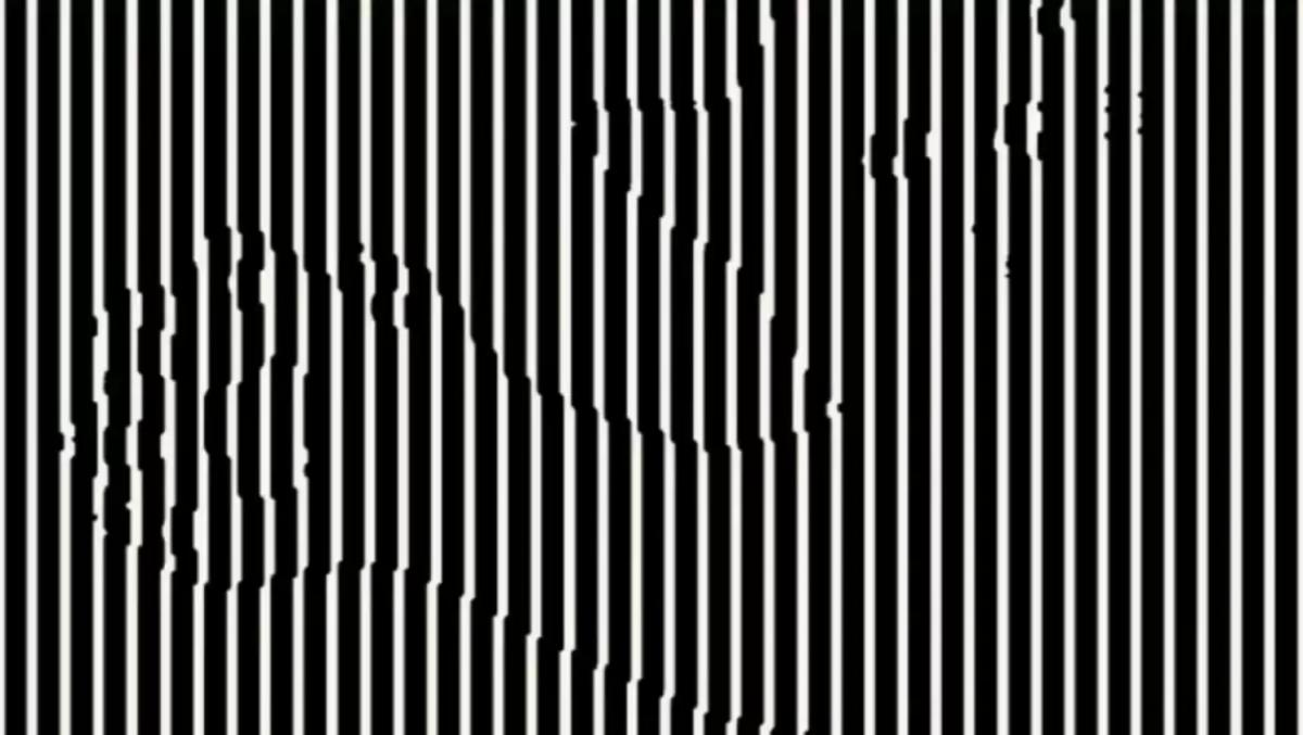 Nájdite zviera v tejto optickej ilúzii: nie každému sa to podarí na prvýkrát