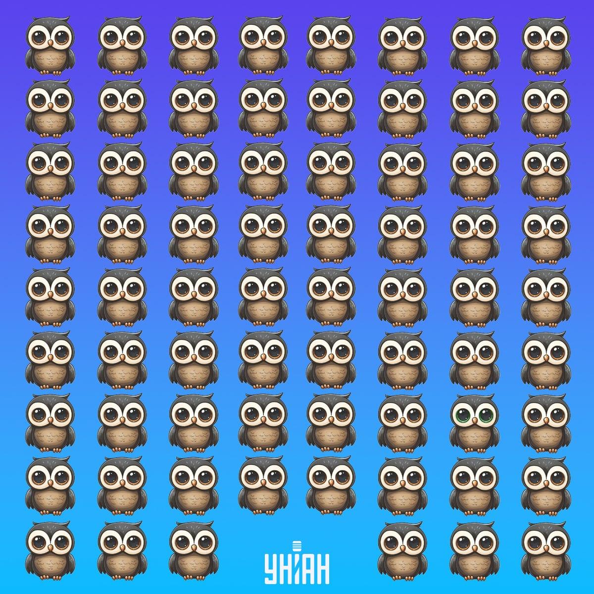 Nájdi vzácneho vtáka v čase / koláž Moje Nájdi vzácneho vtáka v čase / koláž Moje