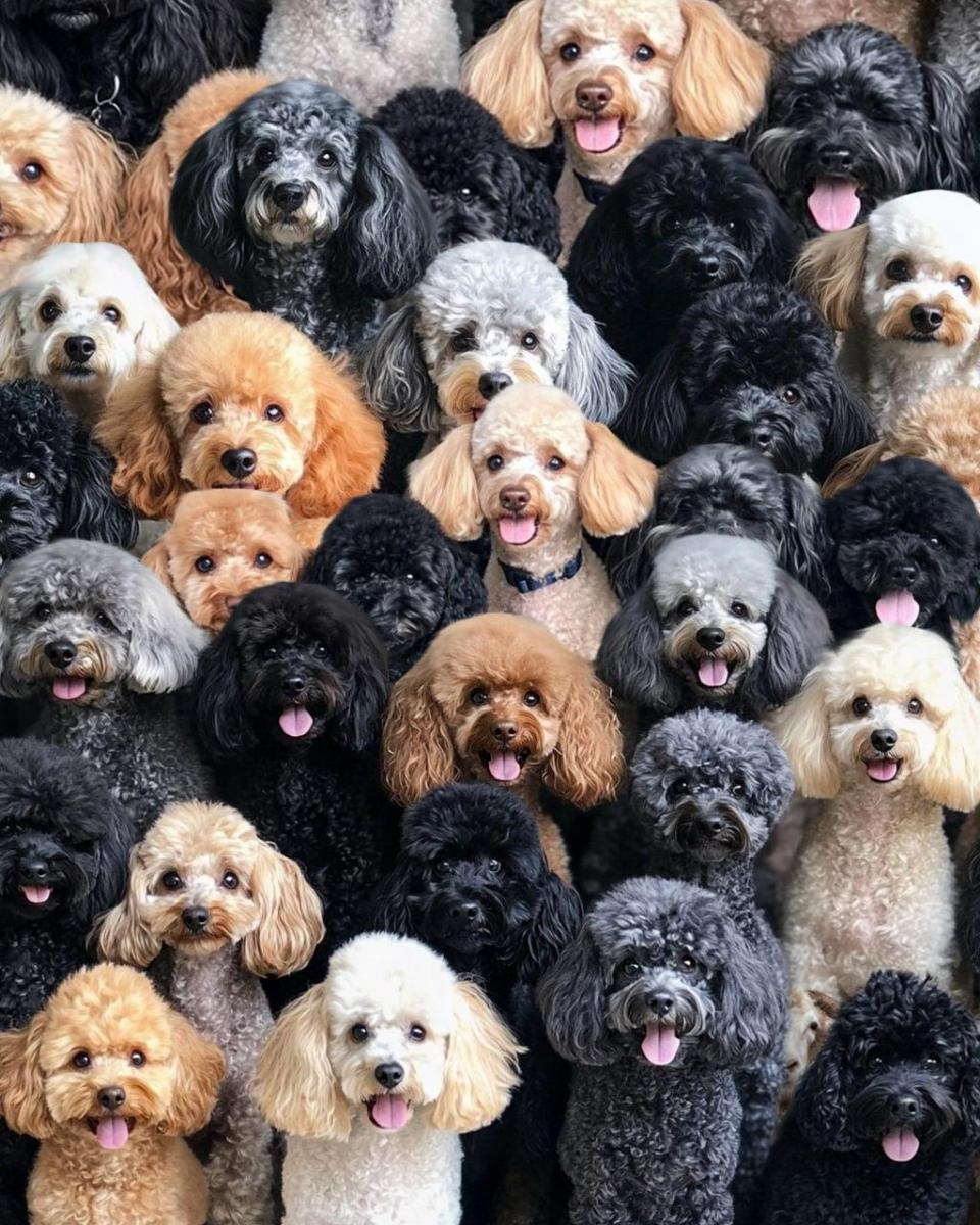 Pozornosť hádanka Pozor, hádanka