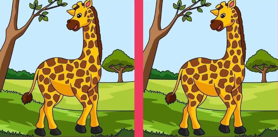 Hádanka - nájdi rozdiely, obrázok 1