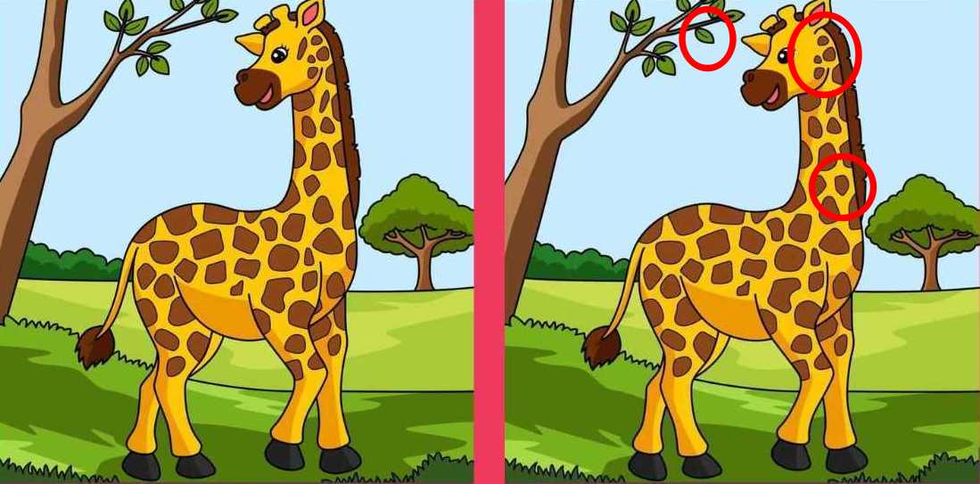 Hádanka - riešenie s vyznačenými rozdielmi