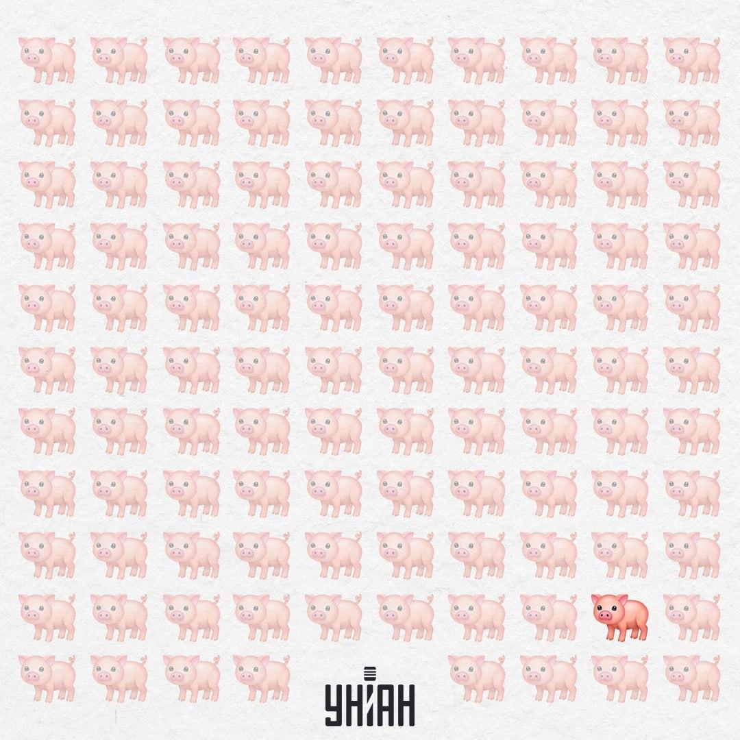 Toto prasiatko je naozaj zvláštne, nemá ružový chvost / Moje Koláž Toto prasiatko je naozaj zvláštne, nemá ružový chvost / Koláž Moje