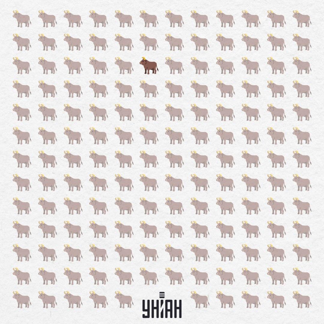 Skrýval sa v strede, takmer zhora / Moje Collage