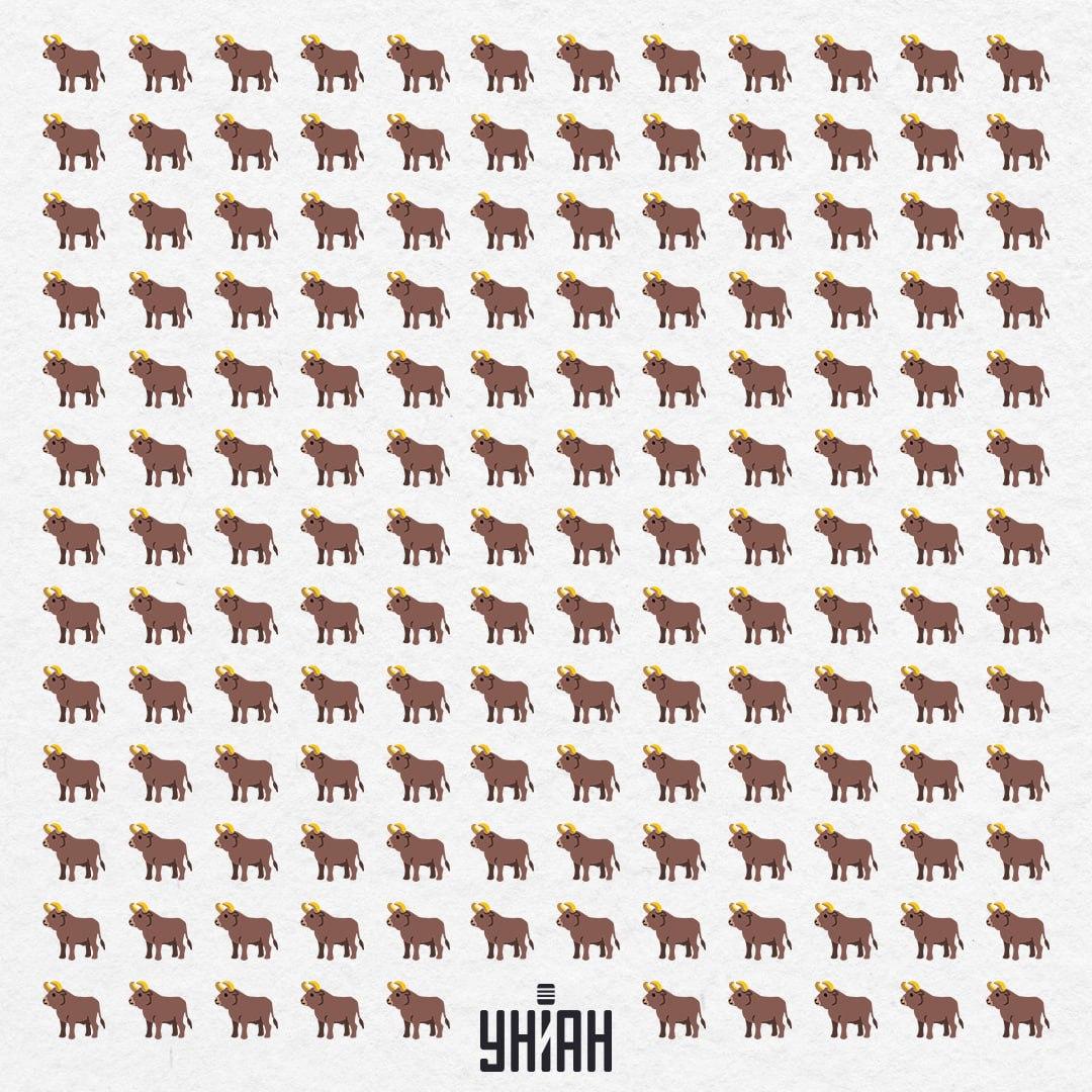 Je ich tu 154, ale jeden nie je takýto - mali by ste ho vidieť za 10 sekúnd / Moje Collage