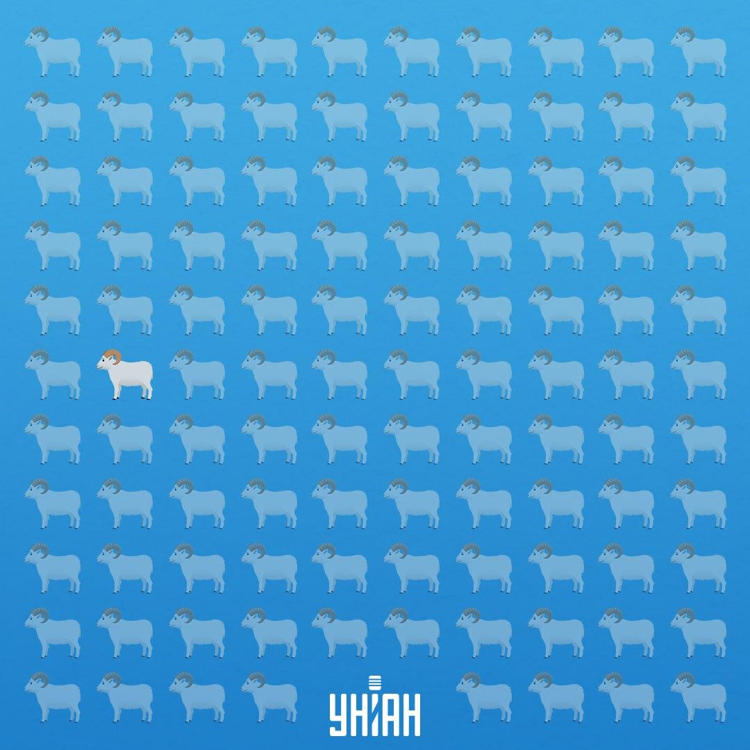 Bol v siedmom rade na ľavej strane / Moje Collage