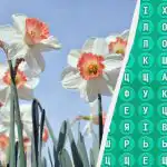 98 % ľudí nedokáže nájsť slovo "jar" za 10 sekúnd: