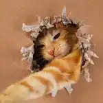 Ako veľmi je vaša mačka génius: jednoduchý IQ test s