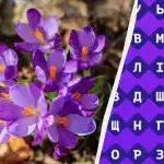 Iba 1 % ľudí dokáže nájsť slovo "krokus" za 11