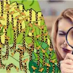 Iba ľudia s vysokým IQ nájdu na tejto optickej ilúzii