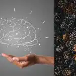 Každý vidí kužele, ale vy musíte nájsť ježka za 7