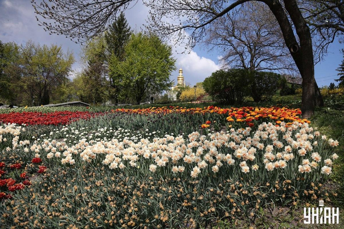 Nájsť vtáka za menej ako 10 sekúnd / koláž Moje