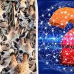 Každý vidí žirafy, ale vy musíte za 8 sekúnd nájsť neskrotnú kozu: nie je to ľahká hádanka Každý vidí žirafy, ale vy musíte za 8 sekúnd nájsť