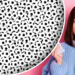 Kde je panda ukrytá: iba ľudia s "orlím zrakom" ju