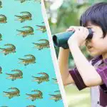 Krokodíla nájde za 15 sekúnd len "titán" s kolosálnym IQ: zaujímavý optický klam Krokodíla nájde za 15 sekúnd len "titán" s kolosálnym IQ: